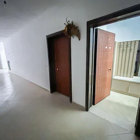 アパート 2 Bedrooms 981 *